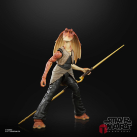 Star Wars Episode I Black Series Lucasfilm 50th Anniversary 2021 Jar Jar Binks