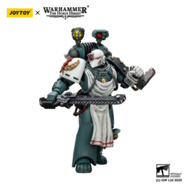 Warhammer 40,000: Sons of Horus Action Figure Legion Apothecary 12 cm