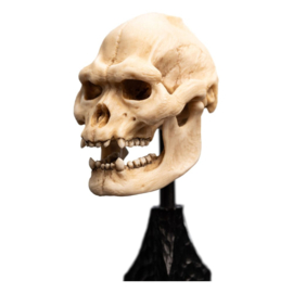 PRE-ORDER Lord of the Rings Mini Statue Skull of Lurtz 14 cm