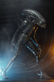 (Pre-order) Alien 1/4 Action Figure Big Chap 56 cm