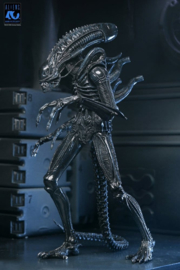 (Pre-order) Aliens Ultimate Action Figure Warrior (1986) Xenomorph Black (40th Anniversary) 23 cm