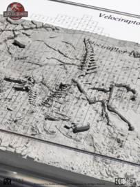 (Pre-order) Jurassic Park III Excavation Map Velociraptor 27 cm