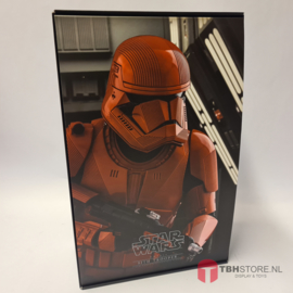 Star Wars Hot Toys MMS544 Sith Trooper
