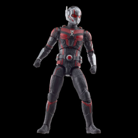 PRE-ORDER Ant-Man and the Wasp: Quantumania Marvel Legends Cassie Lang BAF: Ant-Man