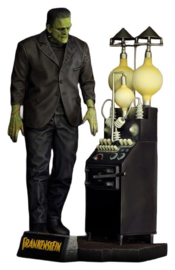 (Pre-order) Frankenstein Plastic Model Kit 1/8 The Monster of Frankenstein 27 cm