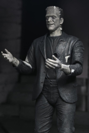 (Pre-order) Universal Monsters 2-Pack Action Figure Bride of Frankenstein 90th Anniversary The Monster & His Mate (B&W) 18 cm