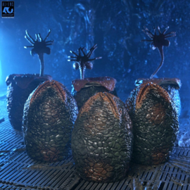(Pre-order) Aliens 6-Pack Accessory Pack Carton of Alien Eggs (40th Anniversary)