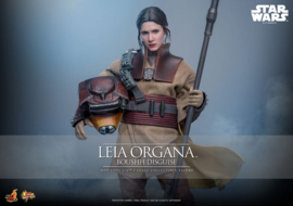 (Pre-order) Star Wars Episode VI Movie Masterpiece Action Figure 1/6 Leia Organa (Boushh Disguise) 27 cm