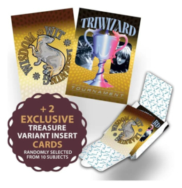 (Pre-order) Harry Potter Premium Treasure Box