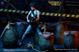 (Pre-order) Aliens 6-Pack Accessory Pack Carton of Alien Eggs (40th Anniversary)