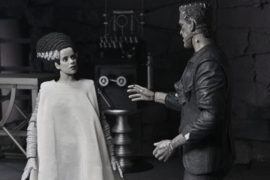 (Pre-order) Universal Monsters 2-Pack Action Figure Bride of Frankenstein 90th Anniversary The Monster & His Mate (B&W) 18 cm