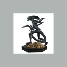 PRE-ORDER The Alien vs. Predator Collection Statue 1/16 Xenomorph Grid