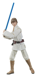 PRE-ORDER Star Wars Episode IV Black Series Action Figure Luke Skywalker