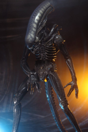 (Pre-order) Alien 1/4 Action Figure Big Chap 56 cm
