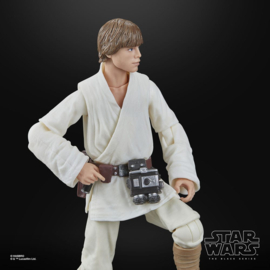 PRE-ORDER Star Wars Episode IV Black Series Action Figure Luke Skywalker