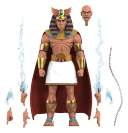 (Pre-order) ThunderCats Ultimates! Wave 15 Action Figure Wizz-Ra 18 cm