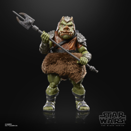 Star Wars Episode VI 40th Anniversary Black Series Deluxe Action Figure Gamorrean Guard