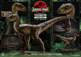 PRE-ORDER Jurassic Park Prime Collectibles Statue 1/10 Velociraptor Closed Mouth 19 cm