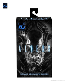 (Pre-order) Aliens Ultimate Action Figure Warrior (1986) Xenomorph Black (40th Anniversary) 23 cm