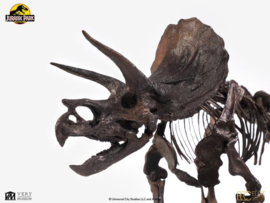 (Pre-order) Jurassic Park Statue 1/24 Triceratops Fossil Skeleton Bronze 35 cm