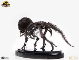 (Pre-order) Jurassic Park Statue 1/24 Triceratops Fossil Skeleton Bronze 35 cm