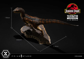 PRE-ORDER Jurassic Park Prime Collectibles Statue 1/10 Velociraptor Closed Mouth 19 cm