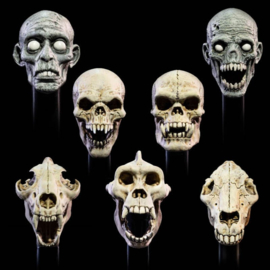 PRE-ORDER All Stars 6 Action Figure Accessorys Undead Heads Pack