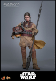 (Pre-order) Star Wars Episode VI Movie Masterpiece Action Figure 1/6 Leia Organa (Boushh Disguise) 27 cm