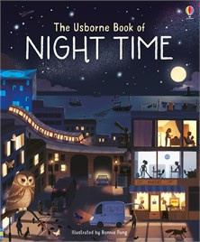 The Usborne book of night time