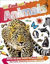 DK Findout! Series with Fun Facts and Amazing Pictures 10 Books