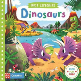 First Explorers: Dinosaurs Board Book (Chorkung)