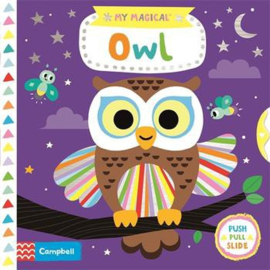 My Magical Owl Board Book (Yujin Shin)