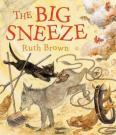 The Big Sneeze (Ruth Brown) Paperback / softback