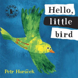 Hello, Little Bird (Petr Horacek)