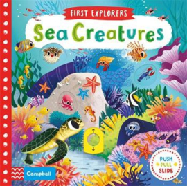 First Explorers: Sea Creatures Board Book (Chorkung)