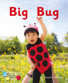 Big Bug 6-pack