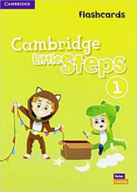 Cambridge Little Steps Level 1 Flashcards