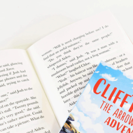Clifftoppers Adventure Series By Fleur Hitchcock: 4 Books Collection Set