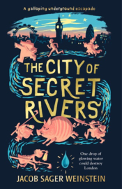 The City Of Secret Rivers (Jacob Sager Weinstein)