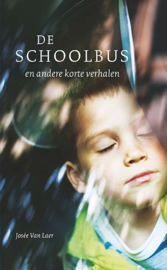 De schoolbus en andere korte verhalen in makkelijke taal