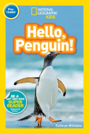 Hello, Penguin!