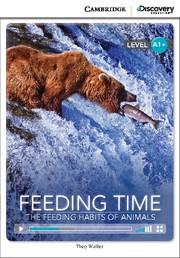 Feeding Time: The Feeding Habits of Animals