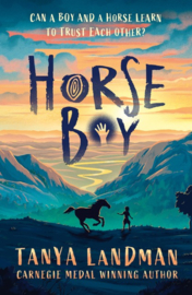 Horse Boy (Tanya Landman)