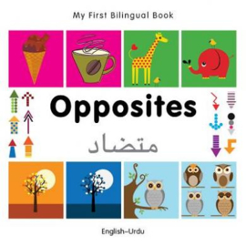 Opposites (English–Urdu)