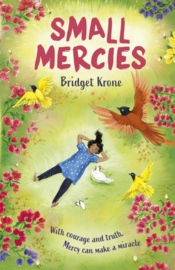 Small Mercies (Bridget Krone)