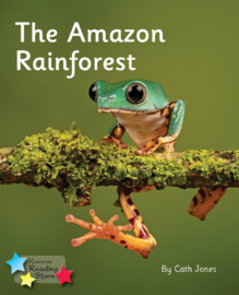 The Amazon Rainforest 6-pack