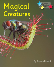 Magical Creatures 6-pack