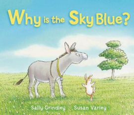 Why Is The Sky Blue? (Sally Grindley) Paperback / softback