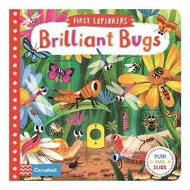 First Explorers: Brilliant Bugs Board Book (Chorkung)
