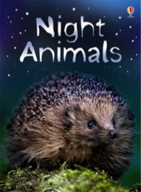 Night animals